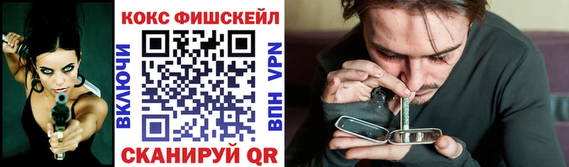 Cocaine Fish Scale  продажа наркотиков  mega как зайти  Абакан 