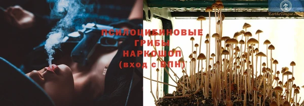 хмурый Алексеевка