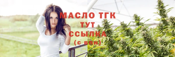 СК Алексин