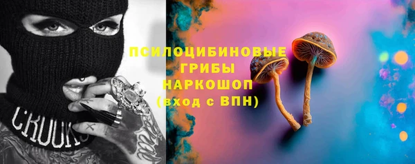 СК Алексин