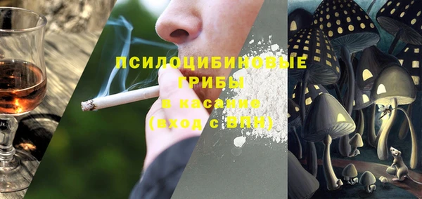 хмурый Алексеевка