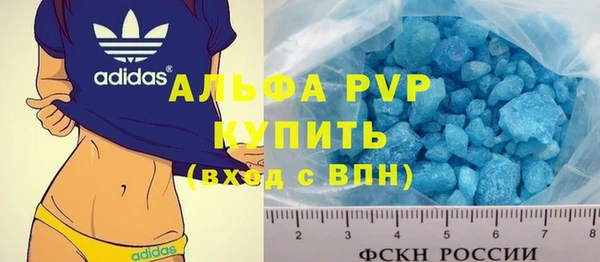СК Алексин