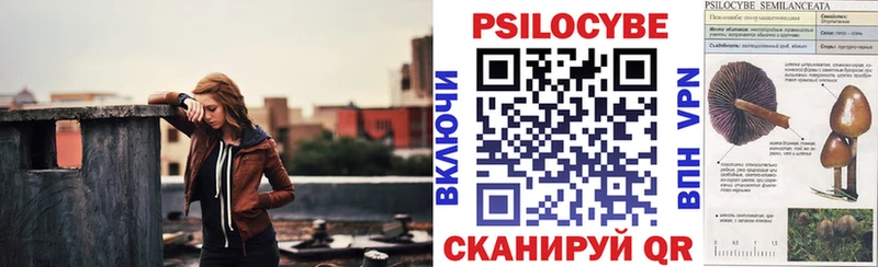 купить закладку  Абакан  Псилоцибиновые грибы Psilocybine cubensis 