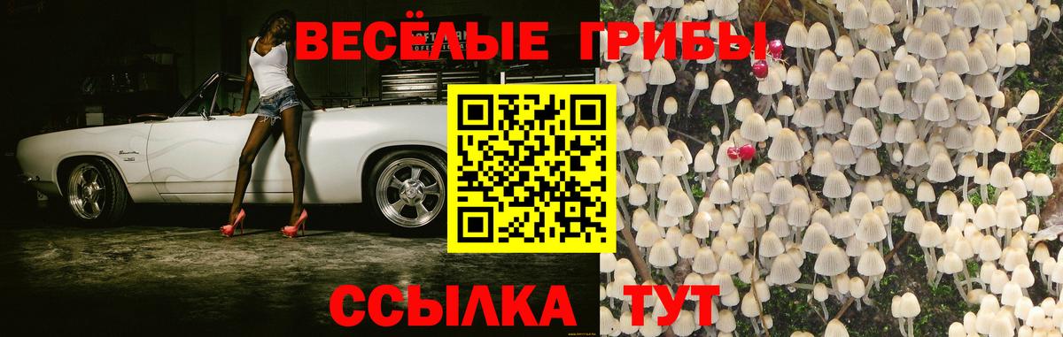 Галлюциногенные грибы Psilocybine cubensis  Вход с VPN  Абакан 