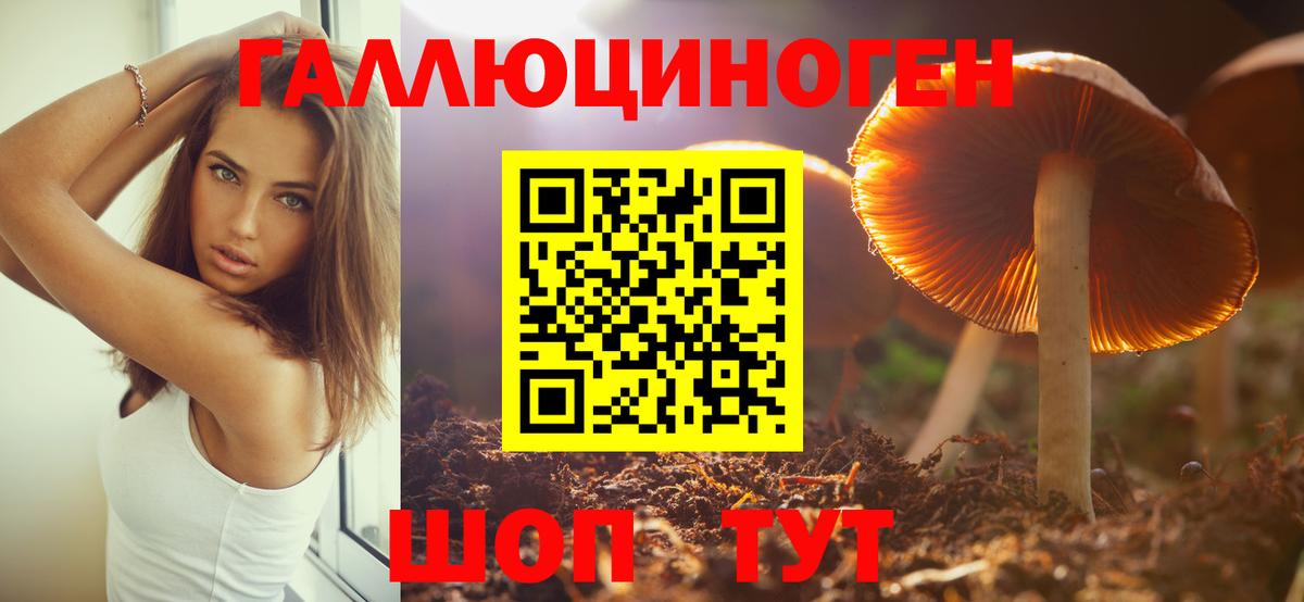 Галлюциногенные грибы Magic Shrooms Абакан