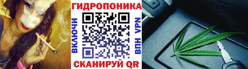 ссылка на мегу как зайти Абакан Бошки марихуана THC 21%